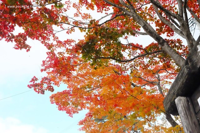 塔崖(塔のへつり)┃福島景點推薦：會津鐵道隱藏版密境，百萬年造就絕美風景，體驗大自然的鬼斧神工，秋天最適合賞楓旅遊 @飛天璇的口袋