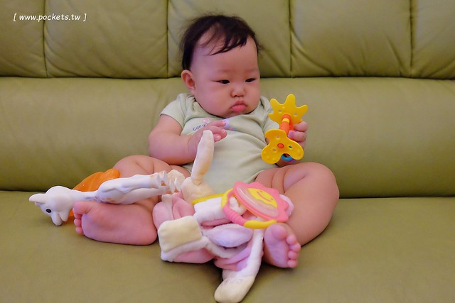 【育兒日記分享】寶寶固齒器：法國蘇菲長頸鹿、Baby Nat口水安撫巾、貝親黃色小花、奇哥多拿滋固齒器、貝親紅蘿蔔冰涼咬咬玩具、貝親香蕉小刷、Richell利其爾固齒器&hellip;寶寶口腔期，各式固齒器大評比和私心推薦 @飛天璇的口袋