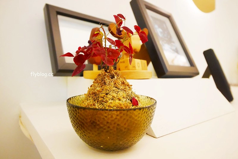 【苗栗三義】緩慢尋路綠波浪，投進森林的環抱，享受大自然的交響樂，讓心靈沈澱人也放空 @飛天璇的口袋