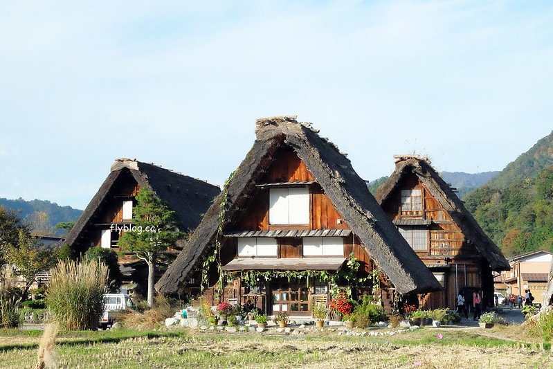 日本岐阜｜合掌村．遇見秋天的浪漫，名古屋到合掌村交通方式，美食餐廳推薦 @飛天璇的口袋