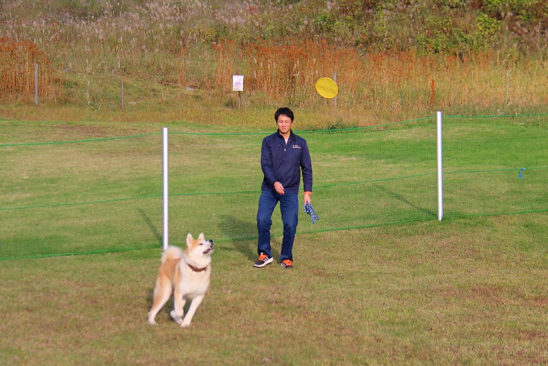 日本秋田｜森吉山阿仁滑雪場．一年四季有不同的美景，秋天楓紅盛況和交通方式 @飛天璇的口袋