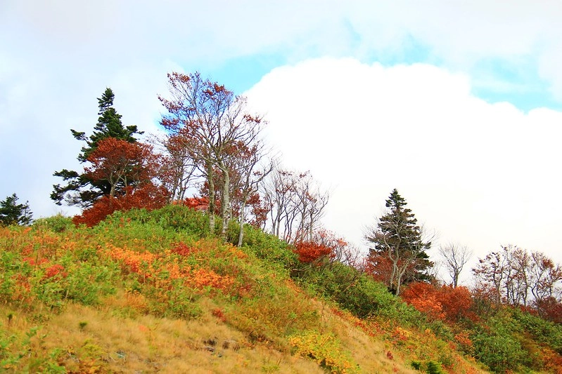 日本秋田｜森吉山阿仁滑雪場．一年四季有不同的美景，秋天楓紅盛況和交通方式 @飛天璇的口袋