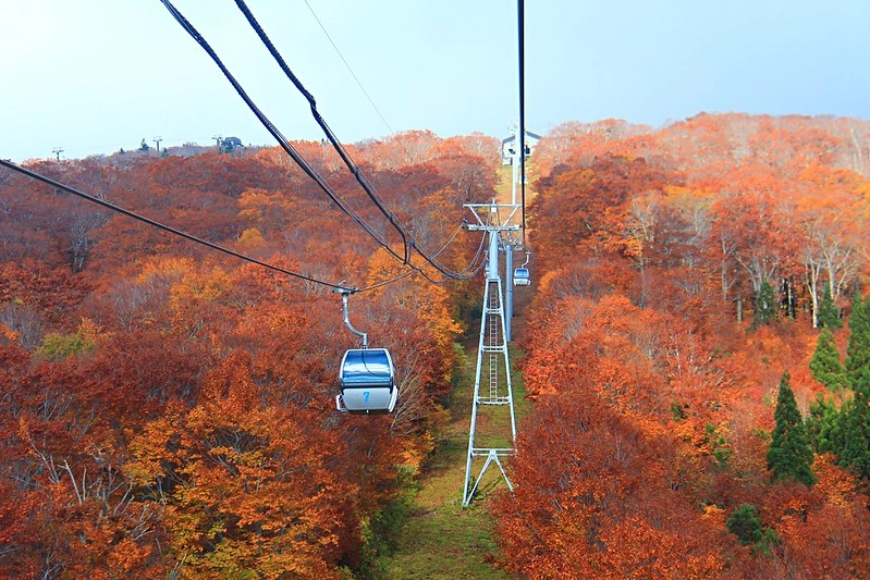 日本秋田｜森吉山阿仁滑雪場．一年四季有不同的美景，秋天楓紅盛況和交通方式 @飛天璇的口袋