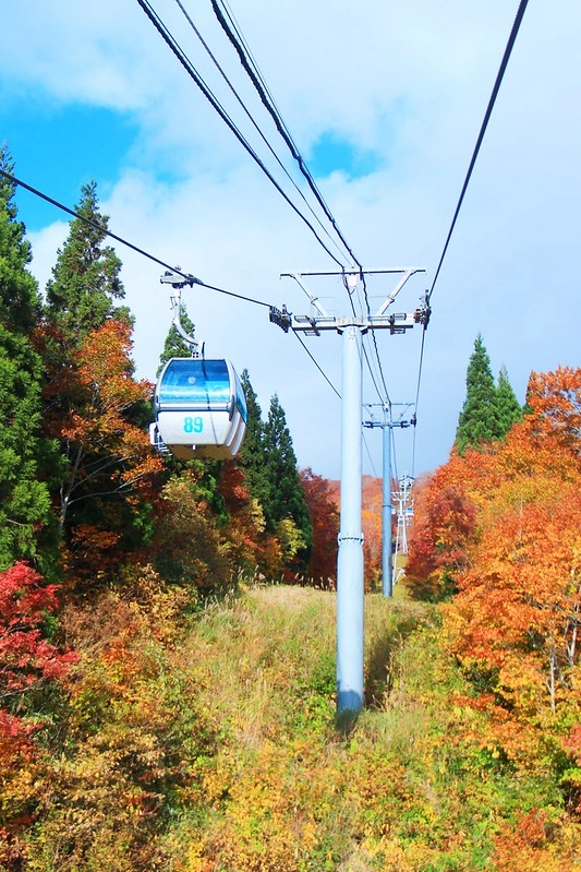 日本秋田｜森吉山阿仁滑雪場．一年四季有不同的美景，秋天楓紅盛況和交通方式 @飛天璇的口袋