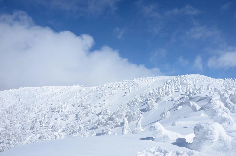日本秋田｜森吉山阿仁滑雪場．一年四季有不同的美景，秋天楓紅盛況和交通方式 @飛天璇的口袋