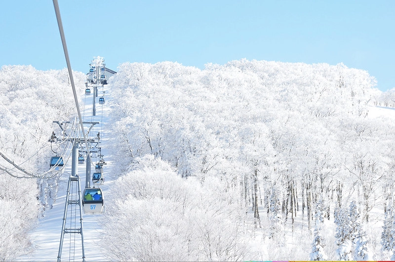 日本秋田｜森吉山阿仁滑雪場．一年四季有不同的美景，秋天楓紅盛況和交通方式 @飛天璇的口袋