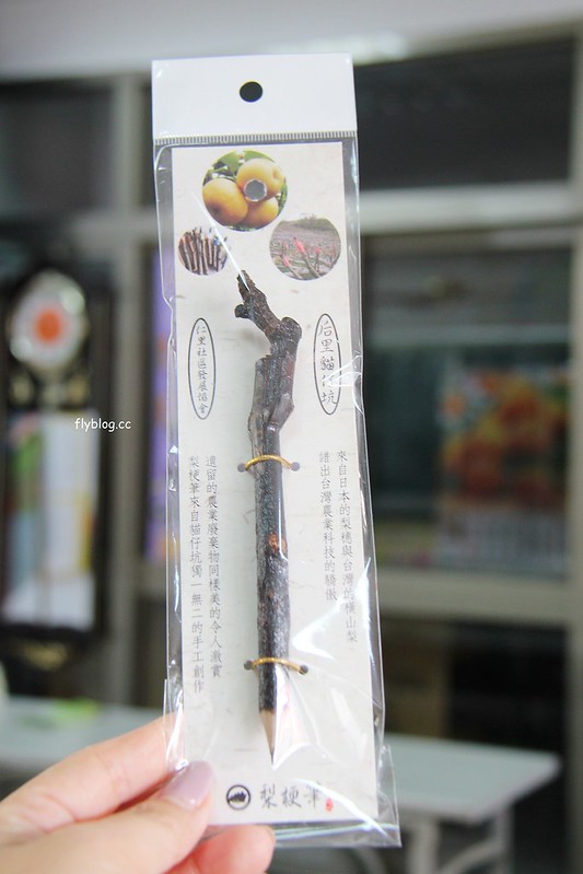 2018花博在后里┃台中后里：結果花博以及農遊，採果、露營、梨の筆DIY，搭配兩天一夜露營行程，后里也有不同的玩法 @飛天璇的口袋