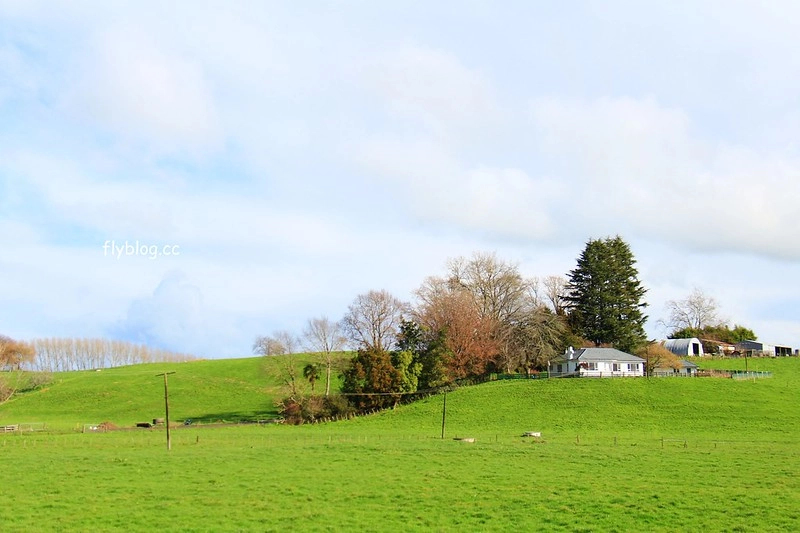 紐西蘭漢密爾頓｜藍泉 Blue Spring Putaruru．紐西蘭北島的神秘景點，清澈夢幻的藍色泉水，紐西蘭70%的瓶裝水出處 @飛天璇的口袋