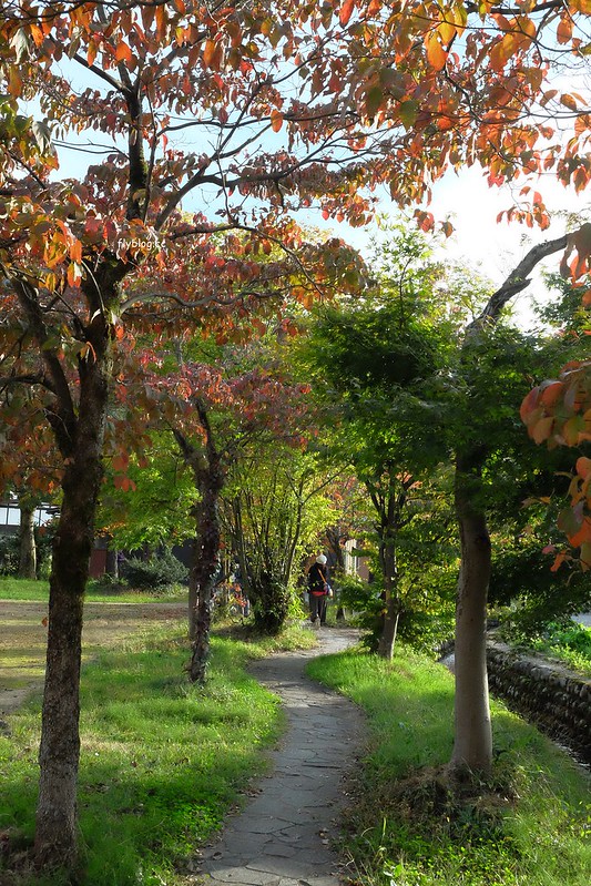 日本岐阜｜合掌村．遇見秋天的浪漫，名古屋到合掌村交通方式，美食餐廳推薦 @飛天璇的口袋