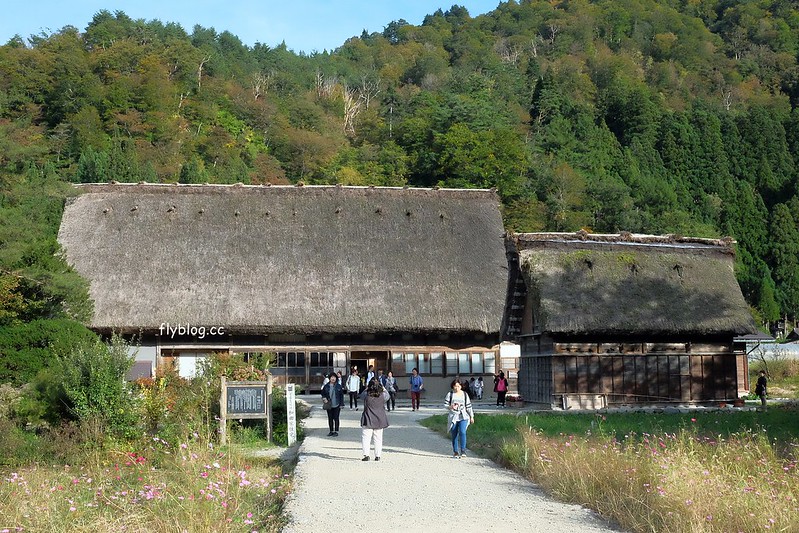 日本岐阜｜合掌村．遇見秋天的浪漫，名古屋到合掌村交通方式，美食餐廳推薦 @飛天璇的口袋