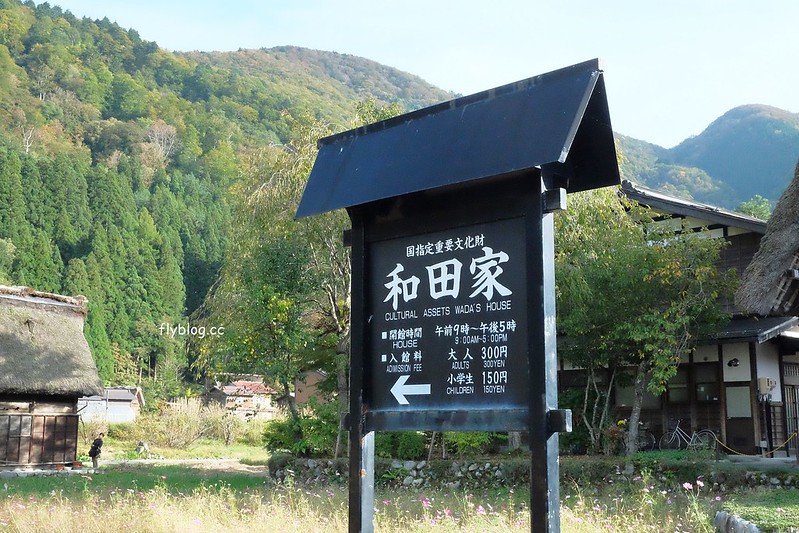 日本岐阜｜合掌村．遇見秋天的浪漫，名古屋到合掌村交通方式，美食餐廳推薦 @飛天璇的口袋