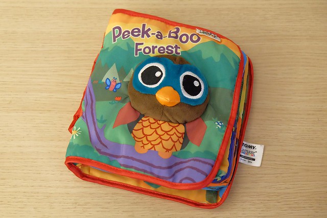 第一次帶寶寶出國自由行應該注意的事項和行前準備，如何幫寶寶辦護照？食衣住行育樂應注意事項(廉價航空全紀錄) @飛天璇的口袋