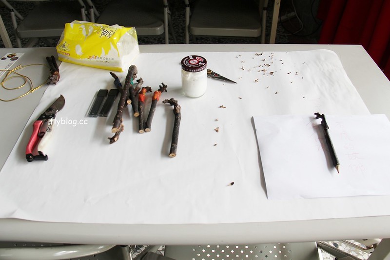 2018花博在后里┃台中后里：結果花博以及農遊，採果、露營、梨の筆DIY，搭配兩天一夜露營行程，后里也有不同的玩法 @飛天璇的口袋