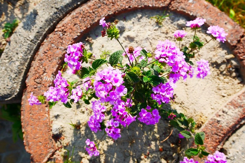 筏子溪迎賓水岸廊道┃台中南屯：台中美麗新地標，4公尺高的TAICHUN字體，台中IG超夯打卡新景點 @飛天璇的口袋