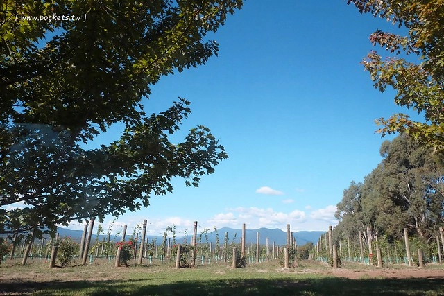 澳洲墨爾本｜墨爾本自由行，墨爾本7日遊行程規劃，美食、景點、住宿總整理 @飛天璇的口袋