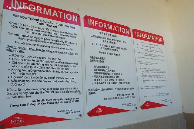 澳洲墨爾本｜帕芬比利 Puffing Billy，搭乘澳洲最古老蒸汽火車，零距離接觸野生鸚鵡、飛派餐廳 Pie in the sky午餐、Sky High眺望台賞美景、LV旗下Chandon酒莊品嚐美酒 @飛天璇的口袋