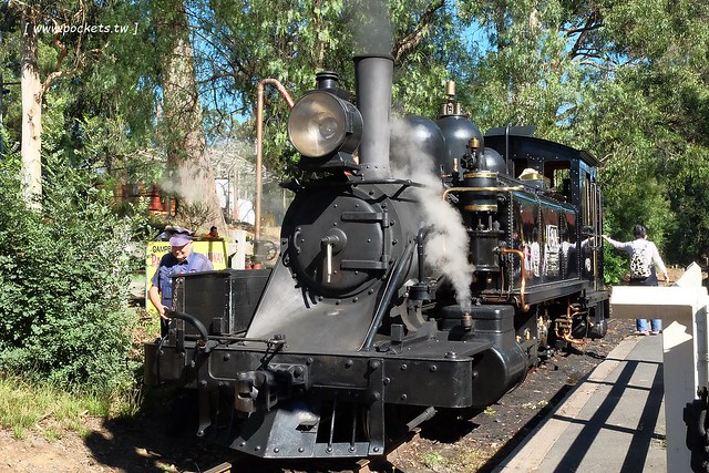 澳洲墨爾本｜帕芬比利 Puffing Billy，搭乘澳洲最古老蒸汽火車，零距離接觸野生鸚鵡、飛派餐廳 Pie in the sky午餐、Sky High眺望台賞美景、LV旗下Chandon酒莊品嚐美酒 @飛天璇的口袋