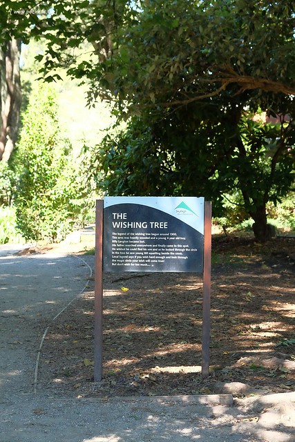澳洲墨爾本｜帕芬比利 Puffing Billy，搭乘澳洲最古老蒸汽火車，零距離接觸野生鸚鵡、飛派餐廳 Pie in the sky午餐、Sky High眺望台賞美景、LV旗下Chandon酒莊品嚐美酒 @飛天璇的口袋