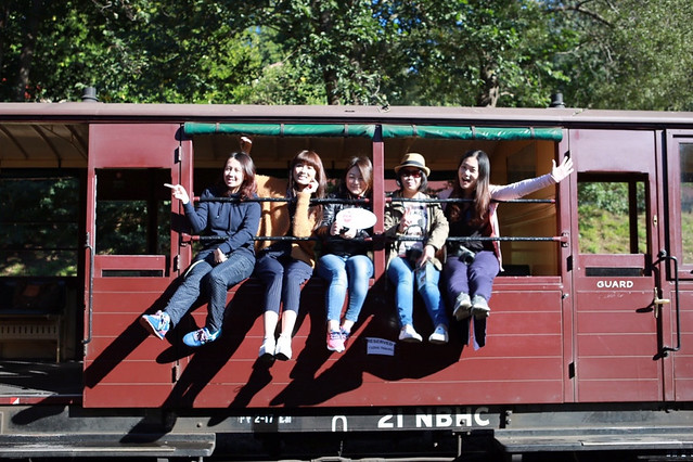 澳洲墨爾本｜帕芬比利 Puffing Billy，搭乘澳洲最古老蒸汽火車，零距離接觸野生鸚鵡、飛派餐廳 Pie in the sky午餐、Sky High眺望台賞美景、LV旗下Chandon酒莊品嚐美酒 @飛天璇的口袋