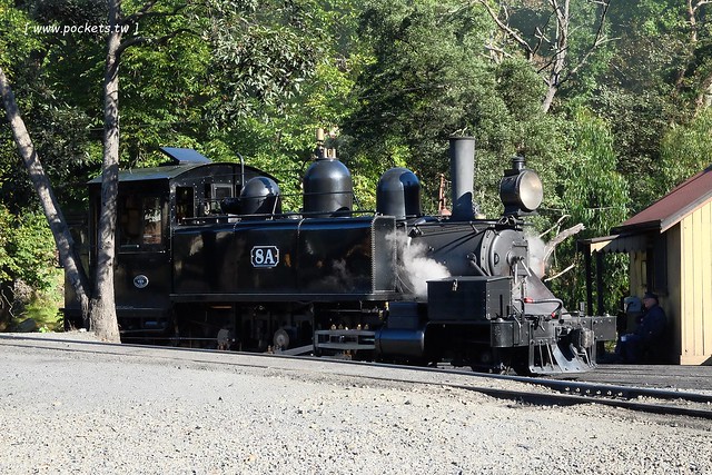 澳洲墨爾本｜帕芬比利 Puffing Billy，搭乘澳洲最古老蒸汽火車，零距離接觸野生鸚鵡、飛派餐廳 Pie in the sky午餐、Sky High眺望台賞美景、LV旗下Chandon酒莊品嚐美酒 @飛天璇的口袋