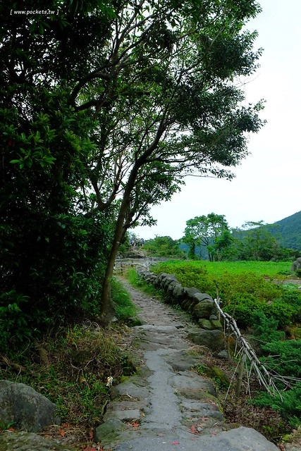 八煙聚落┃台北景點推薦：陽明山的秘密景點，如夢似幻的世外桃源，雲霧裊繞的湖上美景，自然資源非常豐富 @飛天璇的口袋