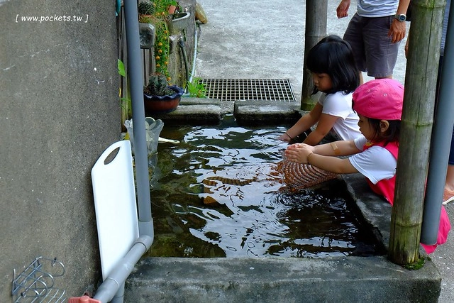 八煙聚落┃台北景點推薦：陽明山的秘密景點，如夢似幻的世外桃源，雲霧裊繞的湖上美景，自然資源非常豐富 @飛天璇的口袋