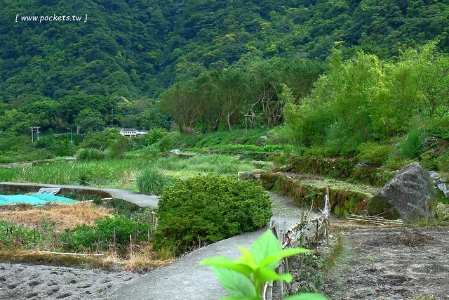 八煙聚落┃台北景點推薦：陽明山的秘密景點，如夢似幻的世外桃源，雲霧裊繞的湖上美景，自然資源非常豐富 @飛天璇的口袋