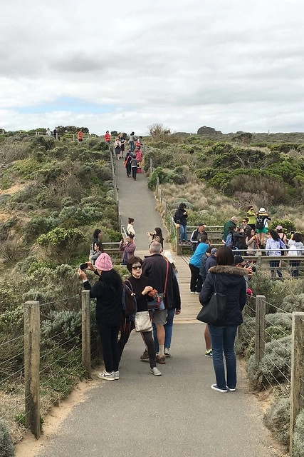 澳洲墨爾本｜大洋路一日遊，此生必去的景點之一澳洲大洋路、Kennett River野生無尾熊、阿波羅灣ILUKA午餐、Loch Ard Gorge六合谷、十二門徒岩、唐人街湄江牛河屋晚餐 @飛天璇的口袋