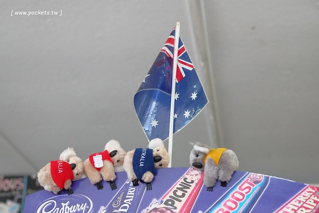 澳洲墨爾本｜大洋路一日遊，此生必去的景點之一澳洲大洋路、Kennett River野生無尾熊、阿波羅灣ILUKA午餐、Loch Ard Gorge六合谷、十二門徒岩、唐人街湄江牛河屋晚餐 @飛天璇的口袋