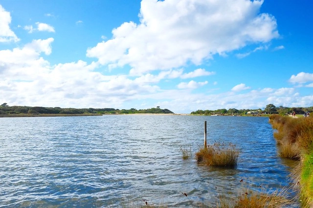 澳洲墨爾本｜大洋路一日遊，此生必去的景點之一澳洲大洋路、Kennett River野生無尾熊、阿波羅灣ILUKA午餐、Loch Ard Gorge六合谷、十二門徒岩、唐人街湄江牛河屋晚餐 @飛天璇的口袋
