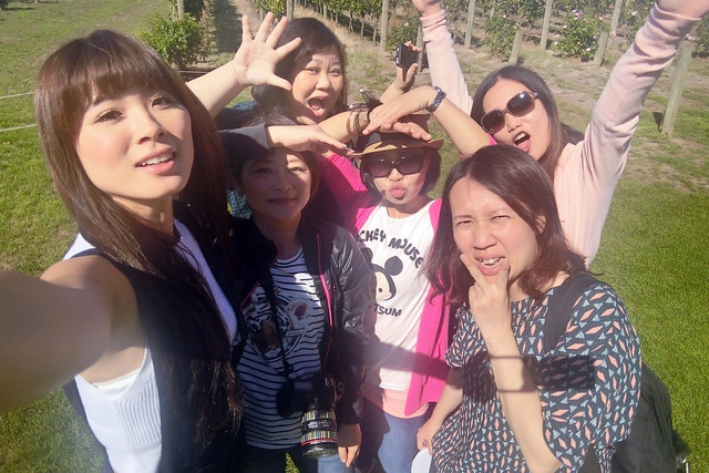 澳洲墨爾本｜帕芬比利 Puffing Billy，搭乘澳洲最古老蒸汽火車，零距離接觸野生鸚鵡、飛派餐廳 Pie in the sky午餐、Sky High眺望台賞美景、LV旗下Chandon酒莊品嚐美酒 @飛天璇的口袋