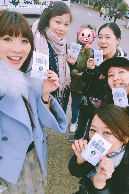 澳洲墨爾本｜菲利普島一日遊 Phillip Island，Maru野生動物園、Panny’s Chocolate巧克力觀光工廠、Cowes小鎮Isola di Capri晚餐、Phillip Island 企鵝島神仙小企鵝歸巢 @飛天璇的口袋