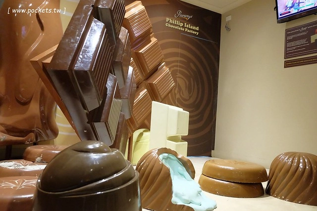 澳洲墨爾本｜菲利普島一日遊 Phillip Island，Maru野生動物園、Panny’s Chocolate巧克力觀光工廠、Cowes小鎮Isola di Capri晚餐、Phillip Island 企鵝島神仙小企鵝歸巢 @飛天璇的口袋