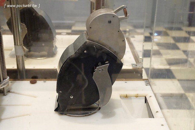 澳洲墨爾本｜菲利普島一日遊 Phillip Island，Maru野生動物園、Panny’s Chocolate巧克力觀光工廠、Cowes小鎮Isola di Capri晚餐、Phillip Island 企鵝島神仙小企鵝歸巢 @飛天璇的口袋