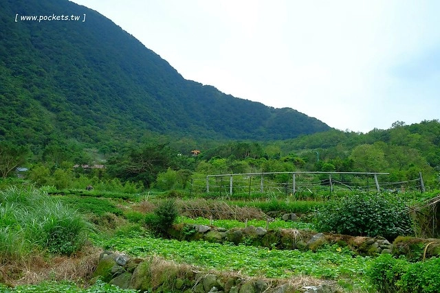 八煙聚落┃台北景點推薦：陽明山的秘密景點，如夢似幻的世外桃源，雲霧裊繞的湖上美景，自然資源非常豐富 @飛天璇的口袋