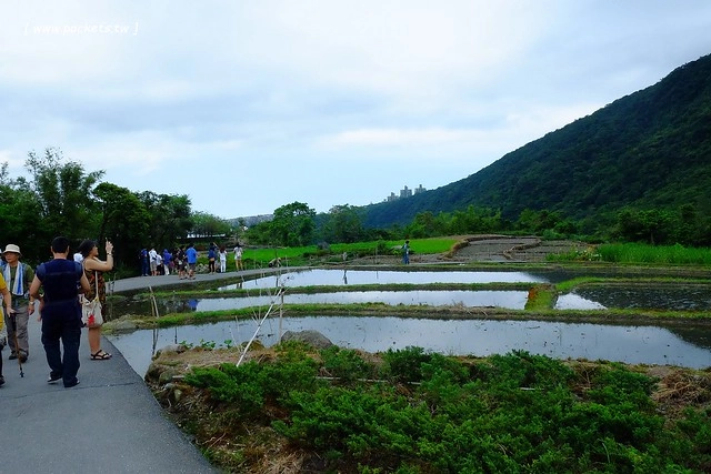 八煙聚落┃台北景點推薦：陽明山的秘密景點，如夢似幻的世外桃源，雲霧裊繞的湖上美景，自然資源非常豐富 @飛天璇的口袋