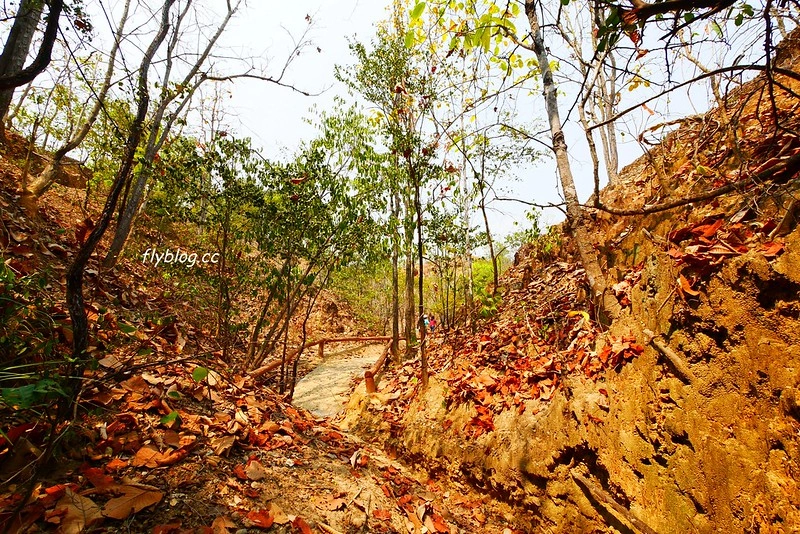 泰國清邁｜帕丘峽谷 Pha Chor｜清邁近郊小秘境，1.5車程即可抵達，四個女子的美麗冒險 @飛天璇的口袋