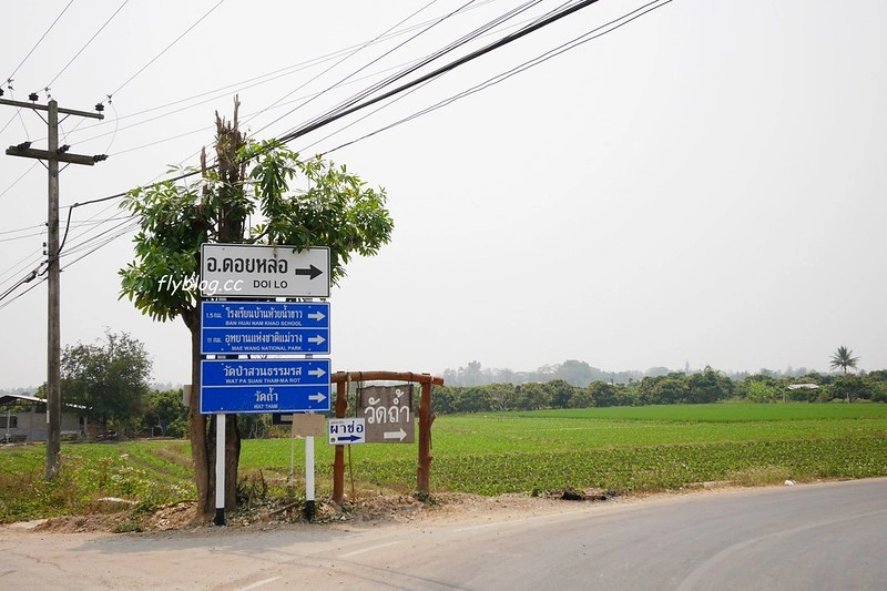 泰國清邁｜帕丘峽谷 Pha Chor｜清邁近郊小秘境，1.5車程即可抵達，四個女子的美麗冒險 @飛天璇的口袋