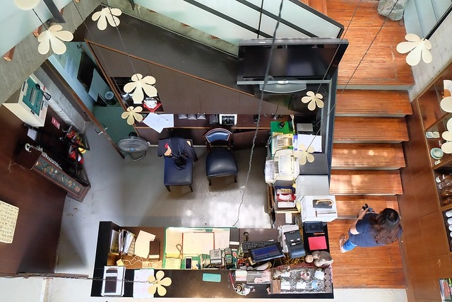 新月梧桐三義店｜漂亮的清水模建築裡，擁有綠意盎然的庭院和四面採光的落地窗設計 @飛天璇的口袋