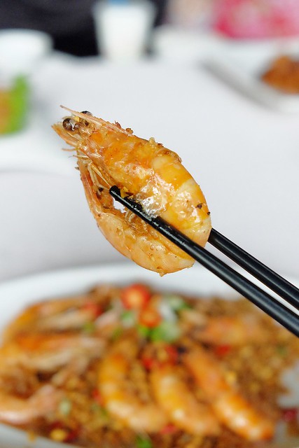 新月梧桐三義店｜漂亮的清水模建築裡，擁有綠意盎然的庭院和四面採光的落地窗設計 @飛天璇的口袋