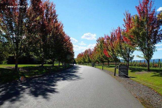 澳洲墨爾本｜墨爾本自由行，墨爾本7日遊行程規劃，美食、景點、住宿總整理 @飛天璇的口袋