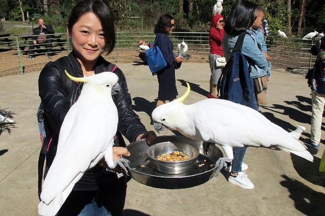澳洲墨爾本｜墨爾本自由行，墨爾本7日遊行程規劃，美食、景點、住宿總整理 @飛天璇的口袋