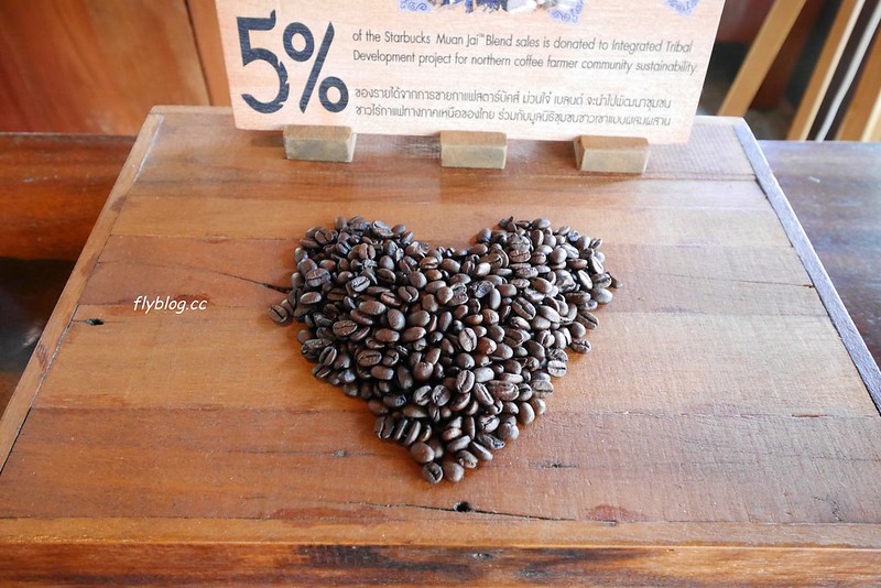 泰國清邁｜清邁最美的星巴克，全球唯一蘭那建築星巴克，星巴克迷到清邁必朝聖 @飛天璇的口袋