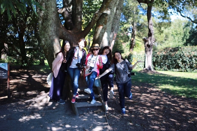 澳洲墨爾本｜帕芬比利 Puffing Billy，搭乘澳洲最古老蒸汽火車，零距離接觸野生鸚鵡、飛派餐廳 Pie in the sky午餐、Sky High眺望台賞美景、LV旗下Chandon酒莊品嚐美酒 @飛天璇的口袋