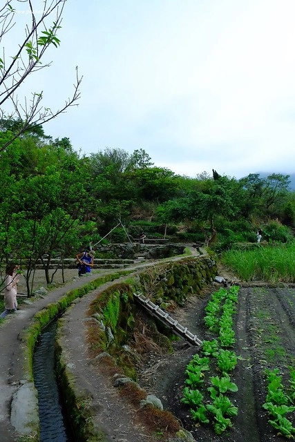 八煙聚落┃台北景點推薦：陽明山的秘密景點，如夢似幻的世外桃源，雲霧裊繞的湖上美景，自然資源非常豐富 @飛天璇的口袋