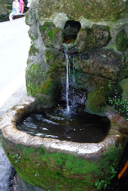 八煙聚落┃台北景點推薦：陽明山的秘密景點，如夢似幻的世外桃源，雲霧裊繞的湖上美景，自然資源非常豐富 @飛天璇的口袋