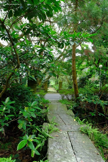 八煙聚落┃台北景點推薦：陽明山的秘密景點，如夢似幻的世外桃源，雲霧裊繞的湖上美景，自然資源非常豐富 @飛天璇的口袋