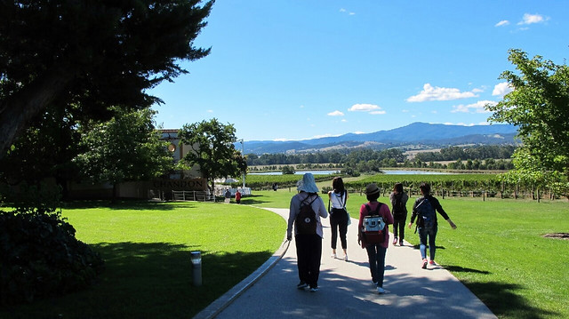 澳洲墨爾本｜帕芬比利 Puffing Billy，搭乘澳洲最古老蒸汽火車，零距離接觸野生鸚鵡、飛派餐廳 Pie in the sky午餐、Sky High眺望台賞美景、LV旗下Chandon酒莊品嚐美酒 @飛天璇的口袋