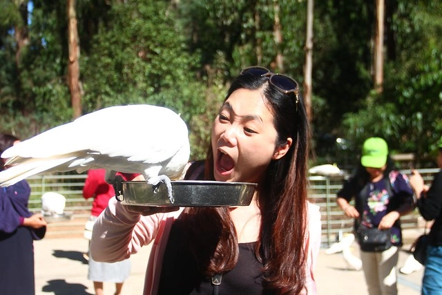 澳洲墨爾本｜墨爾本自由行，墨爾本7日遊行程規劃，美食、景點、住宿總整理 @飛天璇的口袋
