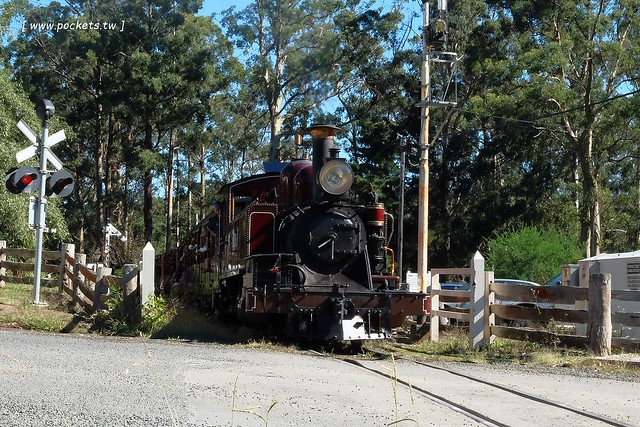 澳洲墨爾本｜帕芬比利 Puffing Billy，搭乘澳洲最古老蒸汽火車，零距離接觸野生鸚鵡、飛派餐廳 Pie in the sky午餐、Sky High眺望台賞美景、LV旗下Chandon酒莊品嚐美酒 @飛天璇的口袋